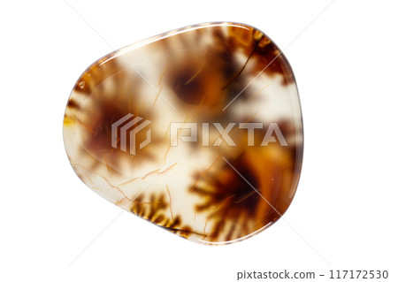 macro mineral stone Agata muschiata on a white background macro mineral stone Agata muschiata on a white background 117172530