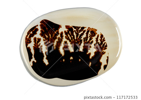 macro mineral stone Agata muschiata on a white background  117172533