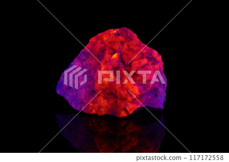 macro mineral stone Hackmanite under ultraviolet light on a black background macro mineral stone Hackmanite under ultraviolet light on a black background 117172558