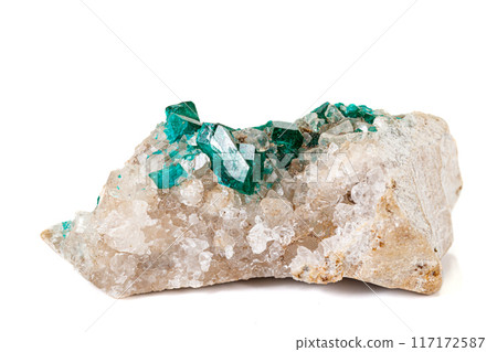 Macro mineral stone Dioptase silicate copper on a white background Macro mineral stone Dioptase silicate copper on a white background 117172587