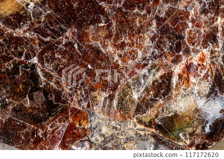 Macro of a mineral stone Vesuvianite on a white background 117172620