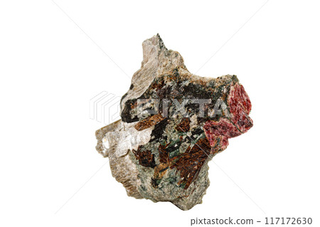 Macro stone mineral Actinolite on a white background Macro stone mineral Actinolite on a white background 117172630