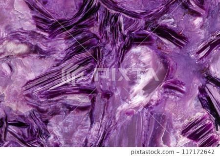 Macro stone mineral Charoite on a white background 117172642