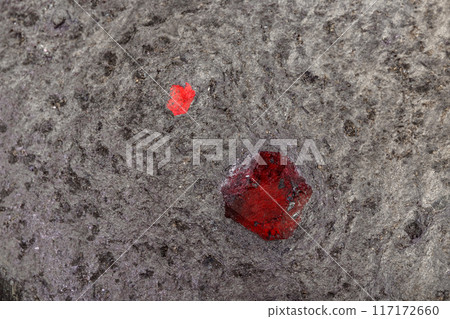 Macro mineral stone Garnet in rock on a white background 117172660