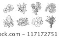 Black and white set of flower greenery leaves line art isolated. Spring floral garden roses black logo wreath sketch plant. Vector illustration botanical stem, green leaves, floral bloom 117172751