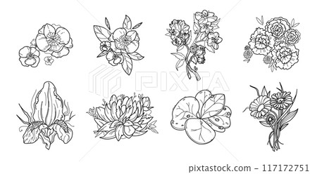 Black and white set of flower greenery leaves line art isolated. Spring floral garden roses black logo wreath sketch plant. Vector illustration botanical stem, green leaves, floral bloom 117172751