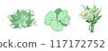 Set of flower greenery leaves line art isolated. Spring floral garden roses black logo wreath sketch plant. Vector illustration botanical stem, green leaves, floral bloom 117172752