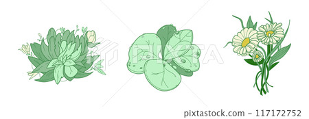 Set of flower greenery leaves line art isolated. Spring floral garden roses black logo wreath sketch plant. Vector illustration botanical stem, green leaves, floral bloom 117172752