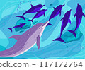 The underwater world with dolphins in blue water 117172764