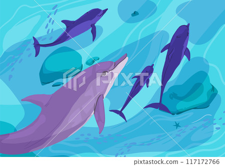 The underwater world with dolphins in blue water The underwater world with dolphins in blue water 117172766