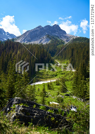 The rocky mountains of Alberta are surrounded by coniferous forests on a sunny summer day. 117172942
