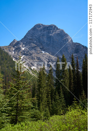 The rocky mountains of Alberta are surrounded by coniferous forests on a sunny summer day. The rocky mountains of Alberta are surrounded by coniferous forests on a sunny summer day. 117172943