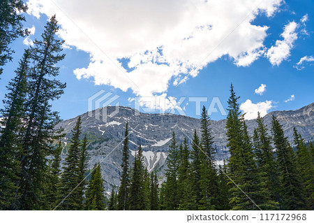 The rocky mountains of Alberta are surrounded by coniferous forests on a sunny summer day. The rocky mountains of Alberta are surrounded by coniferous forests on a sunny summer day. 117172968