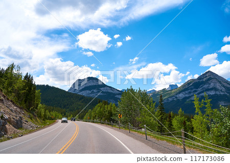 Beautiful view from a car on the Rocky Mountains in Banff National Park in Alberta. Panorama of a road in the mountains past a coniferous forest on a sunny day in summer. 117173086