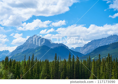 The rocky mountains of Alberta are surrounded by coniferous forests on a sunny summer day. 117173090