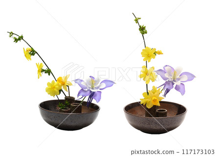 餐具上的耬斗菜、耬斗菜和水仙花 餐具上的耬斗菜、耬斗菜和水仙花 117173103