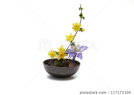 餐具上的耬斗菜、耬斗菜和水仙花 餐具上的耬斗菜、耬斗菜和水仙花 117173104