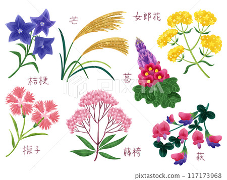 Autumn seven herbs watercolor hand-drawn illustration set Autumn seven herbs watercolor hand-drawn illustration set 117173968
