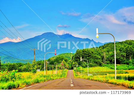 Scenery of Mount Daisetsu and a straight road in Hokkaido Scenery of Mount Daisetsu and a straight road in Hokkaido 117173969