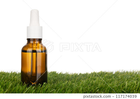 Amber Glass Dropper Bottle on Grass 117174039
