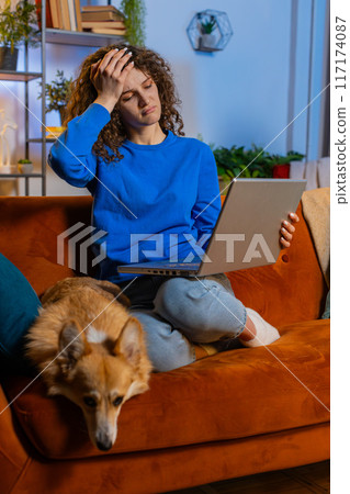 Angry displeased upset young woman using laptop netbook receiving bad news sitting on home sofa 117174087