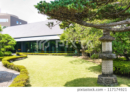 A garden A garden 117174921