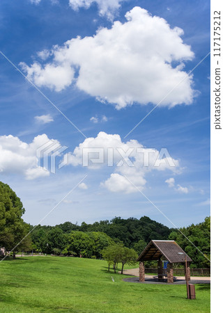 Summer park scenery 117175212