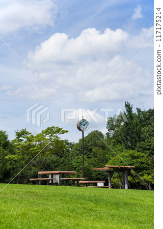 夏季公園風光 117175214