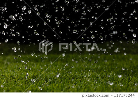 Rain water drop on green grass field over black background. Rain fall as droplet water shower on meadow lawn grass field, freeze high speed Rain water drop on green grass field over black background. Rain fall as droplet water shower on meadow lawn grass field, freeze high speed 117175244