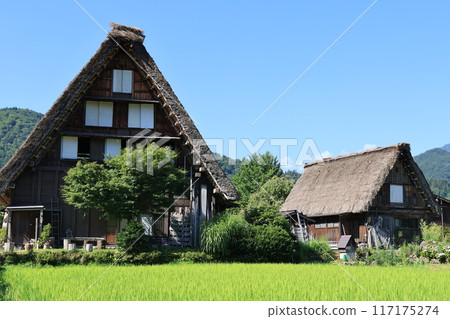 白川鄉的合掌造（岐阜縣大野郡白川村） 117175274