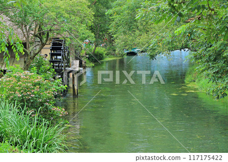Clear stream and watermill at Daio Wasabi Farm Clear stream and watermill at Daio Wasabi Farm 117175422