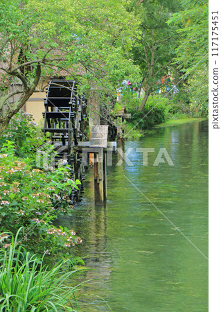 大王山葵農場的清澈溪流和水磨坊 117175451