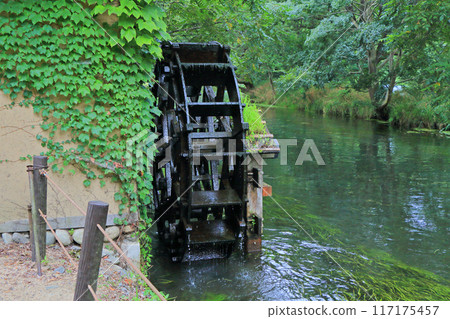 Clear stream and waterwheel at Daio Wasabi Farm Clear stream and waterwheel at Daio Wasabi Farm 117175457