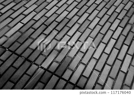 用磚鋪成的路 117176040