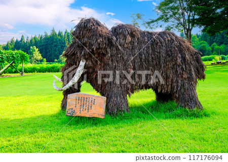 Mammoth 1 in Tsunan Town 117176094
