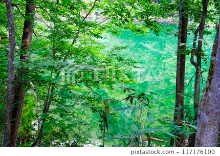 Ryuga Kubo over the forest 117176100