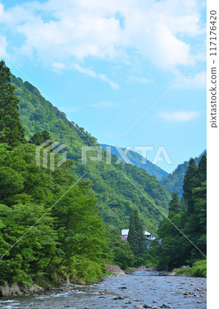 新潟縣十日町市清津河流經清新的綠色森林,初夏風景 新潟縣十日町市清津河流經清新的綠色森林,初夏風景 117176420
