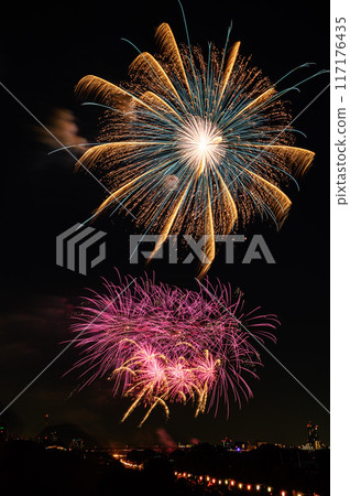 關東人氣 戶田橋板橋花火大會 Star Mine 117176435