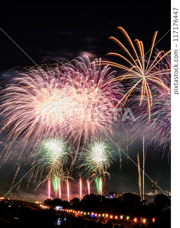 Kanto Popularity: Todabashi Itabashi Fireworks Festival Starmine 117176447