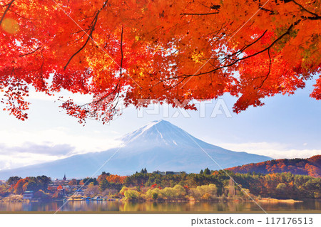 秋葉和富士山 秋葉和富士山 117176513
