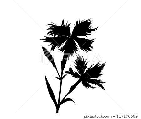 撫子剪影圖 117176569