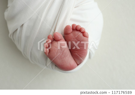 The tiny foot of a newborn. Soft feet of a newborn in a white blanket. Close up of toes, heels and feet of a newborn baby. Studio Macro photography. Woman's happiness. The tiny foot of a newborn. Soft feet of a newborn in a white blanket. Close up of toes, heels and feet of a newborn baby. Studio Macro photography. Woman's happiness. 117176589