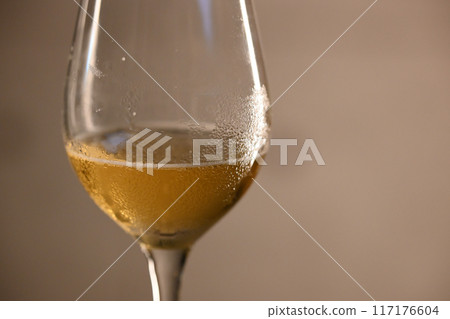 Half-drunk beer in a wine glass 117176604