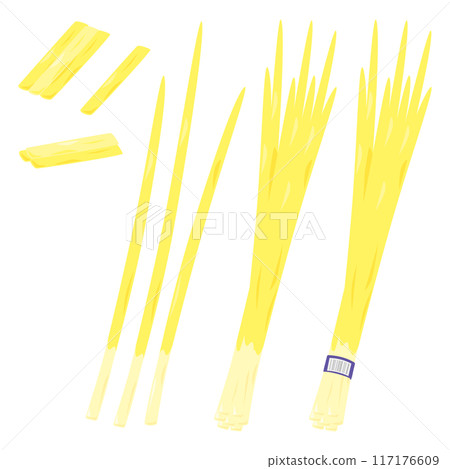 Yellow chive set Yellow chive set 117176609