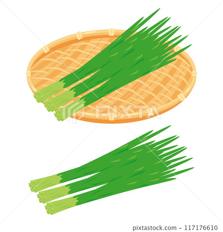 Chinese chives in a colander Chinese chives in a colander 117176610