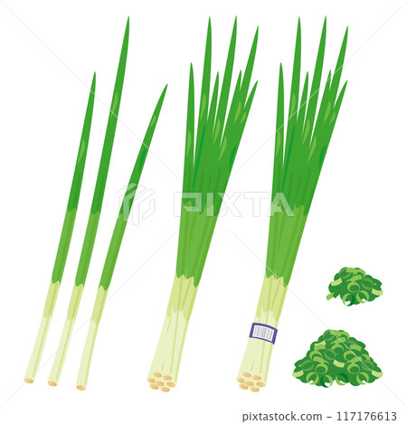 蔥套餐 蔥套餐 117176613