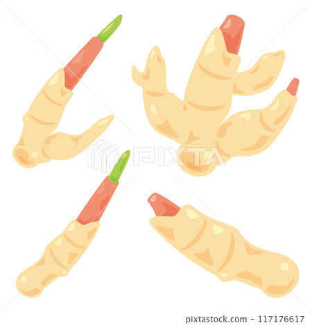 A set of leaf ginger and new ginger 117176617