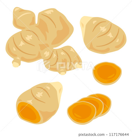 薑黃套裝 117176644