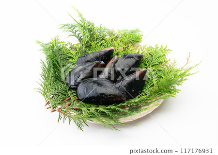 Raw mussels 117176931