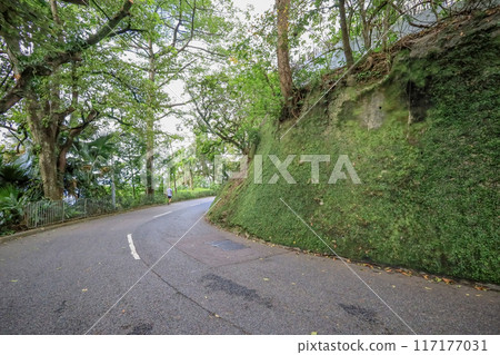 June 23 2024 the landscape of the Barker Road hong kong 117177031